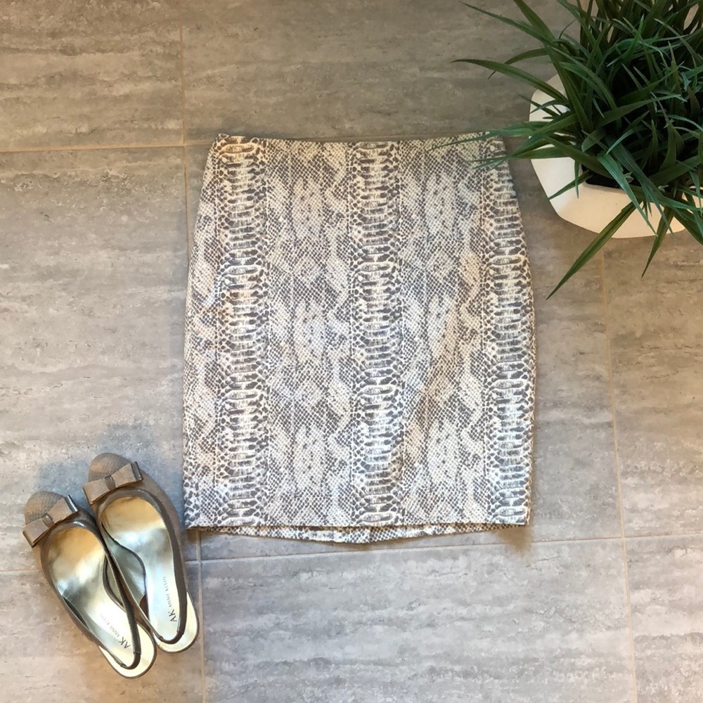 Ann Taylor Pencil Skirt